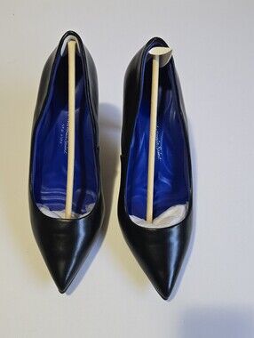 Women's Black Pointed Toe Heels with Blue Lining